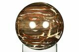 Colorful Polished Petrified Wood Sphere - Arizona #309212-2